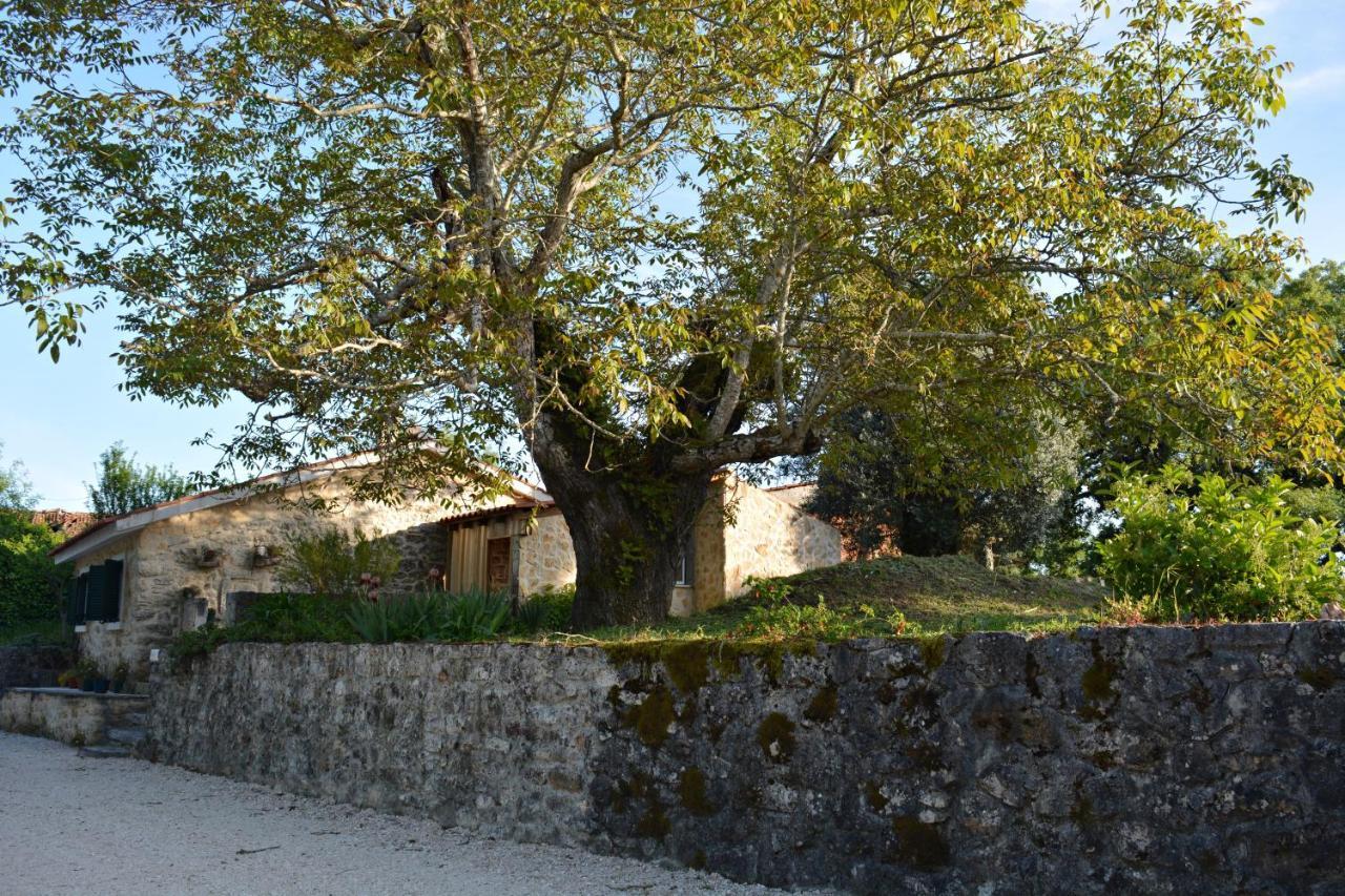 Casa Da Pedra Villa Anciao Exterior photo
